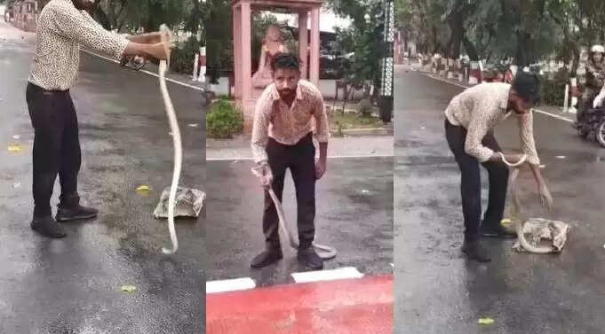 मुरादाबाद में सर्किट हाउस में सांप की घुसपैठ से मची अफरा-तफरी