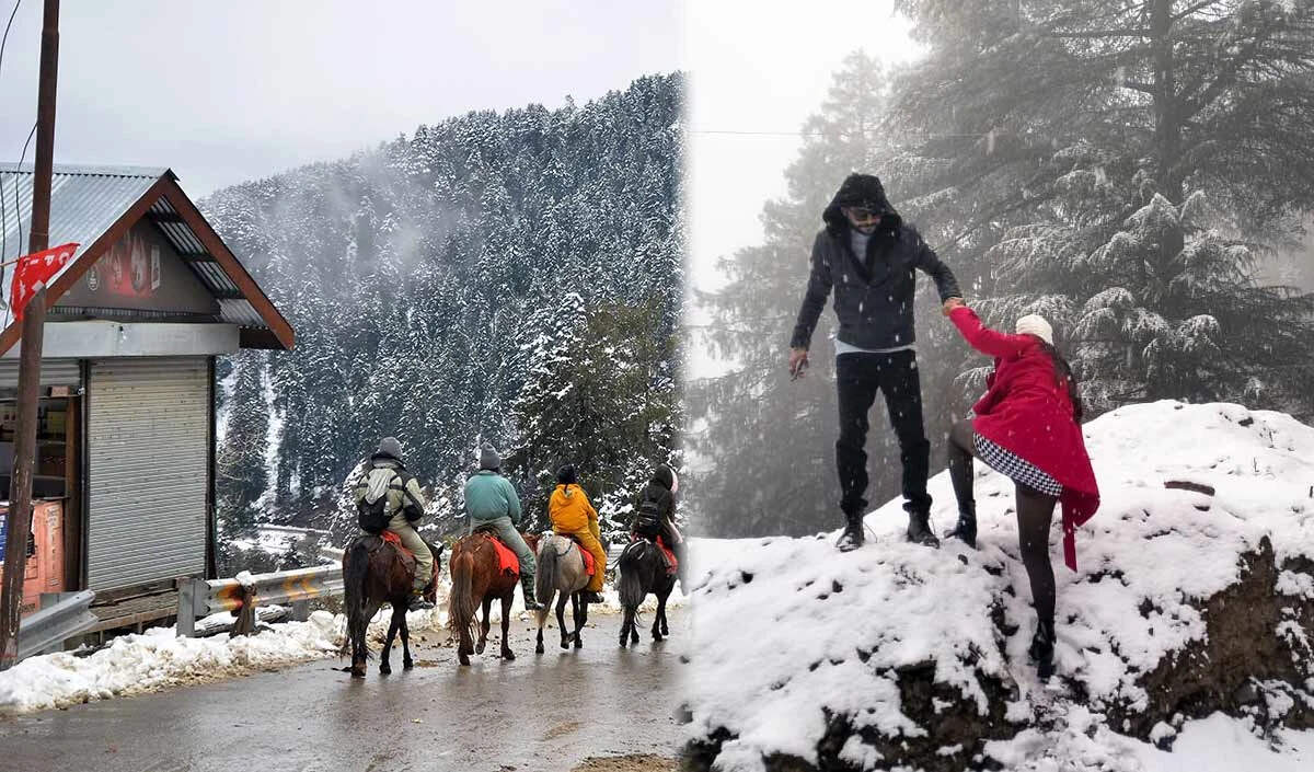 कुफरी: हिमाचल प्रदेश का बर्फीला स्वर्ग