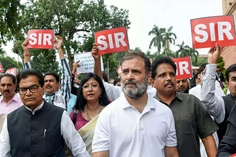राहुल गांधी के चुनाव आयोग पर आरोप: क्या है सच?