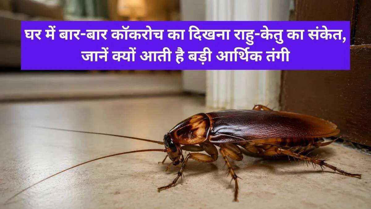 कॉकरोच और घर की ऊर्जा: ज्योतिषीय दृष्टिकोण