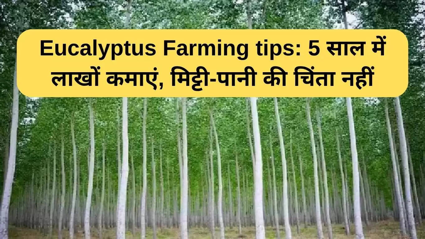 यूकेलिप्टस खेती: 5 वर्षों में लाखों की कमाई का सुनहरा अवसर