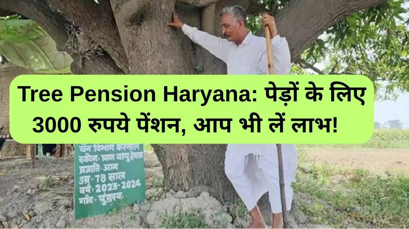हरियाणा में पेड़ों के लिए 3000 रुपये की पेंशन: जानें कैसे उठाएं लाभ