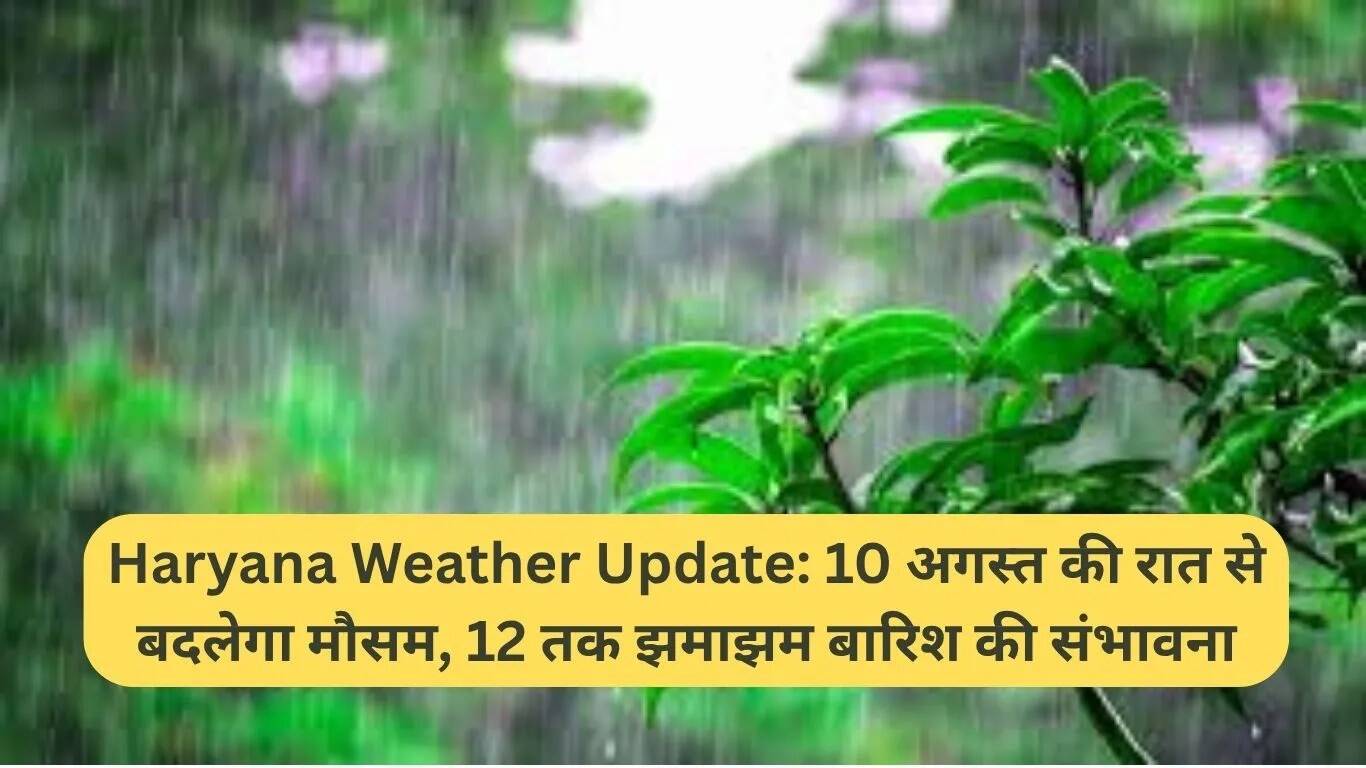 हरियाणा में मौसम परिवर्तन: 10 अगस्त की रात से भारी बारिश की संभावना