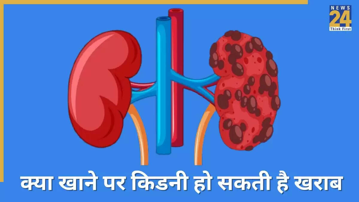 किडनी स्वास्थ्य के लिए हानिकारक खाद्य पदार्थ और उनके विकल्प