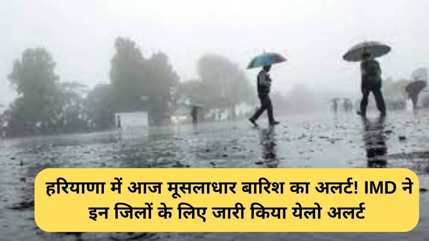 हरियाणा में भारी बारिश का अलर्ट: जानें किन जिलों में होगी मूसलधार बारिश