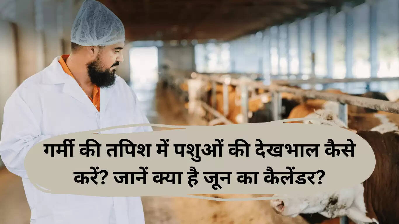 गर्मी में पशुओं की देखभाल: जून के लिए विशेष गाइड