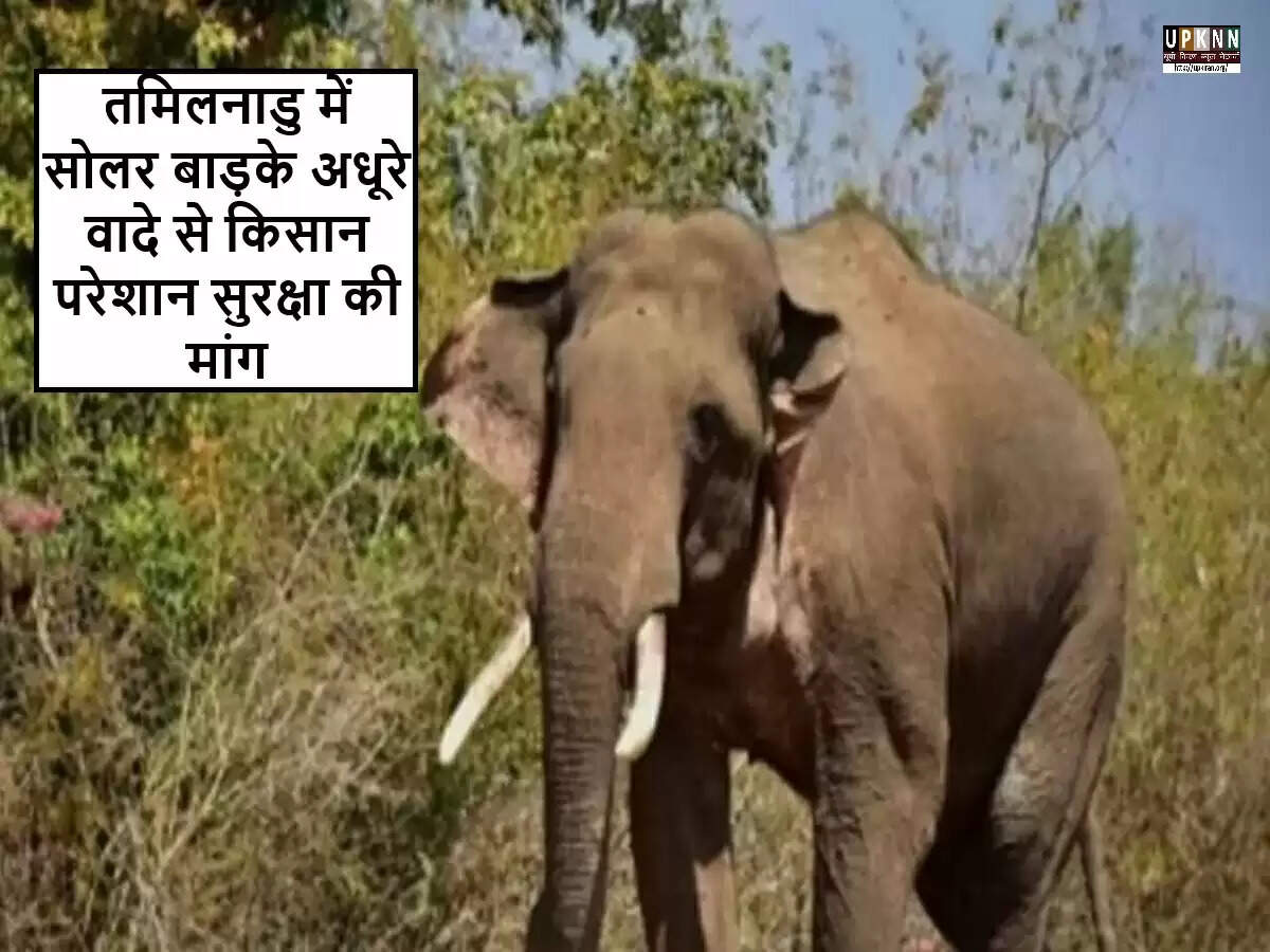 तमिलनाडु में जंगली हाथियों से किसानों की सुरक्षा को लेकर चिंता