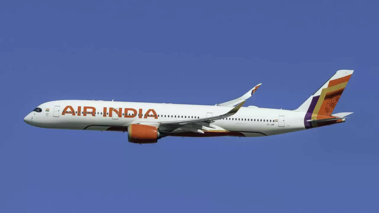 Air India की उड़ान में पक्षी से टकराने की घटना, पायलट ने बचाई यात्रियों की जान