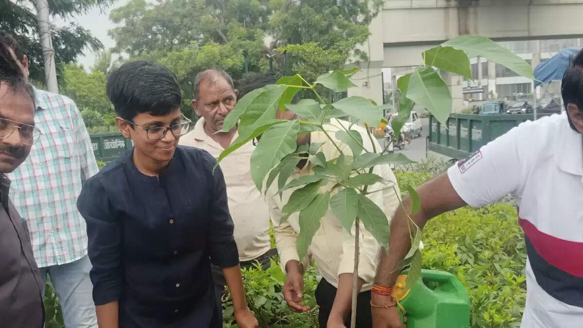 ग्रेटर नोएडा में हरियाली बढ़ाने की नई पहल: बसंत रानी पौधों का रोपण