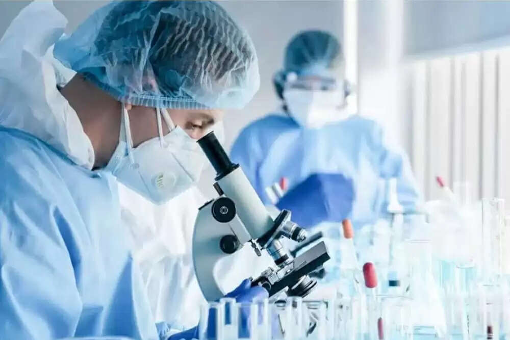 इजरायली शोधकर्ताओं की नई खोज: उम्र बढ़ने की प्रक्रिया को धीमा करने की संभावना