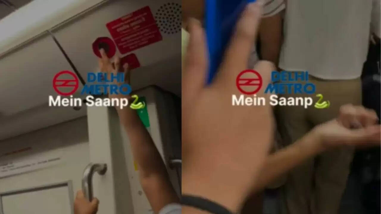 दिल्ली मेट्रो में सांप की अफवाह से मची भगदड़