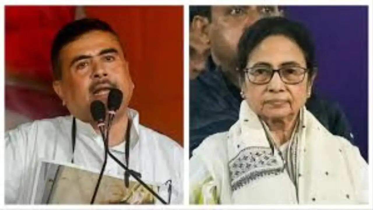 तृणमूल कांग्रेस में बगावत: सांसदों का नया गुट और इस्तीफे