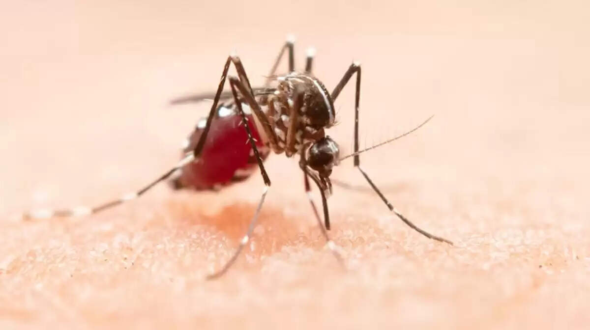 भारत में डेंगू के खिलाफ नई वैक्सीन DengiAll का विकास