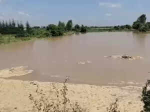 हरियाणा में बारिश का पूर्वानुमान: 9 जिलों में येलो अलर्ट
