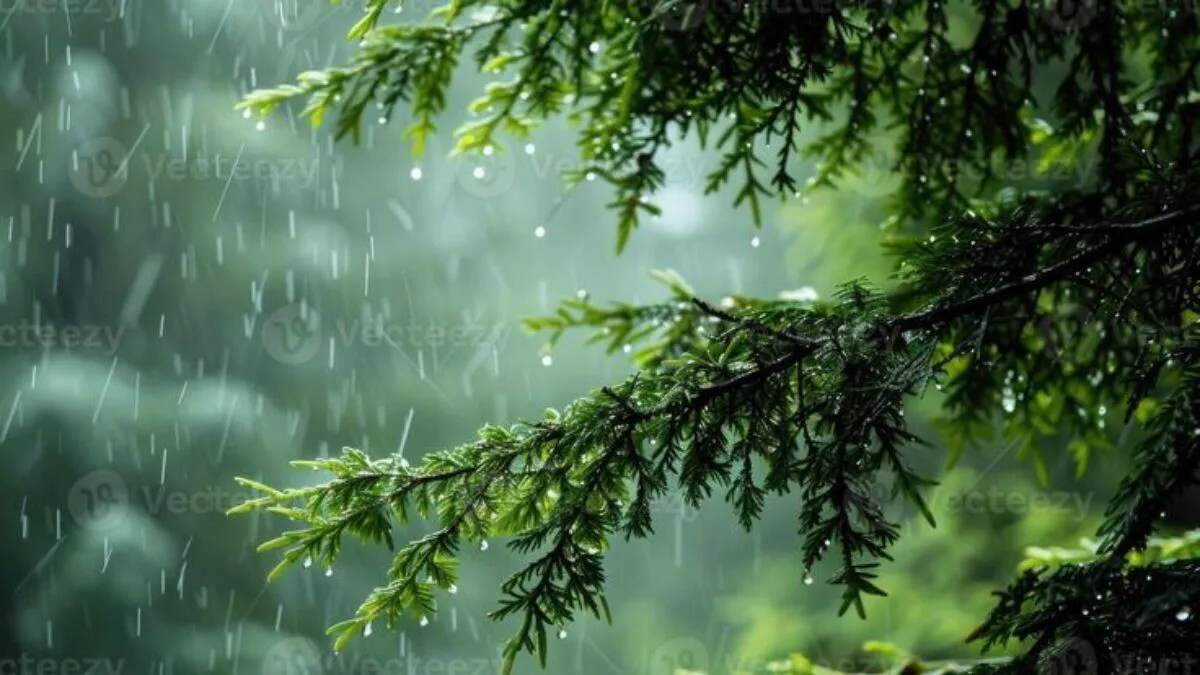 मौसम अपडेट: चक्रवात 'मोंथा' से पूर्वांचल में बारिश और फसल को नुकसान