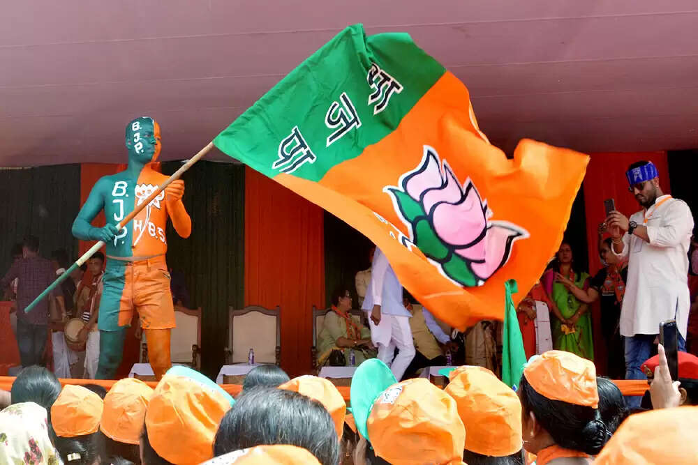 मध्य प्रदेश में नगरीय निकाय उपचुनाव के परिणाम घोषित, भाजपा ने जीते छह स्थान
