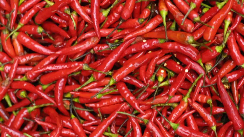 लाल मिर्च के स्वास्थ्य लाभ: जानें इसके फायदे
