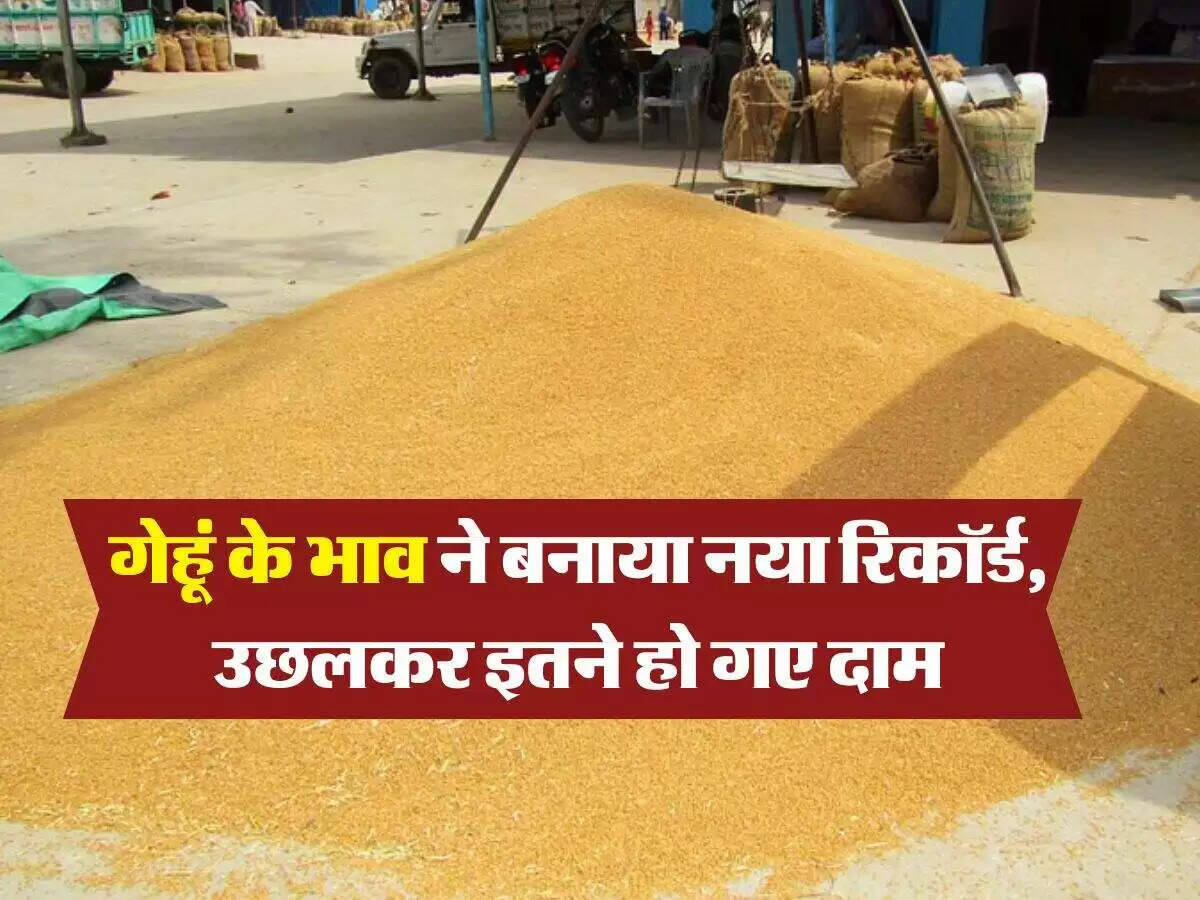 गेहूं के दामों में रिकॉर्ड वृद्धि, उपभोक्ताओं के लिए चिंता का विषय