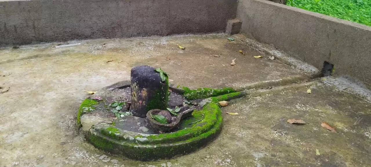 द्वादश ज्योतिर्लिंग के प्रतीक हैं बम्हणी गांव स्थित 12 शिवलिंग