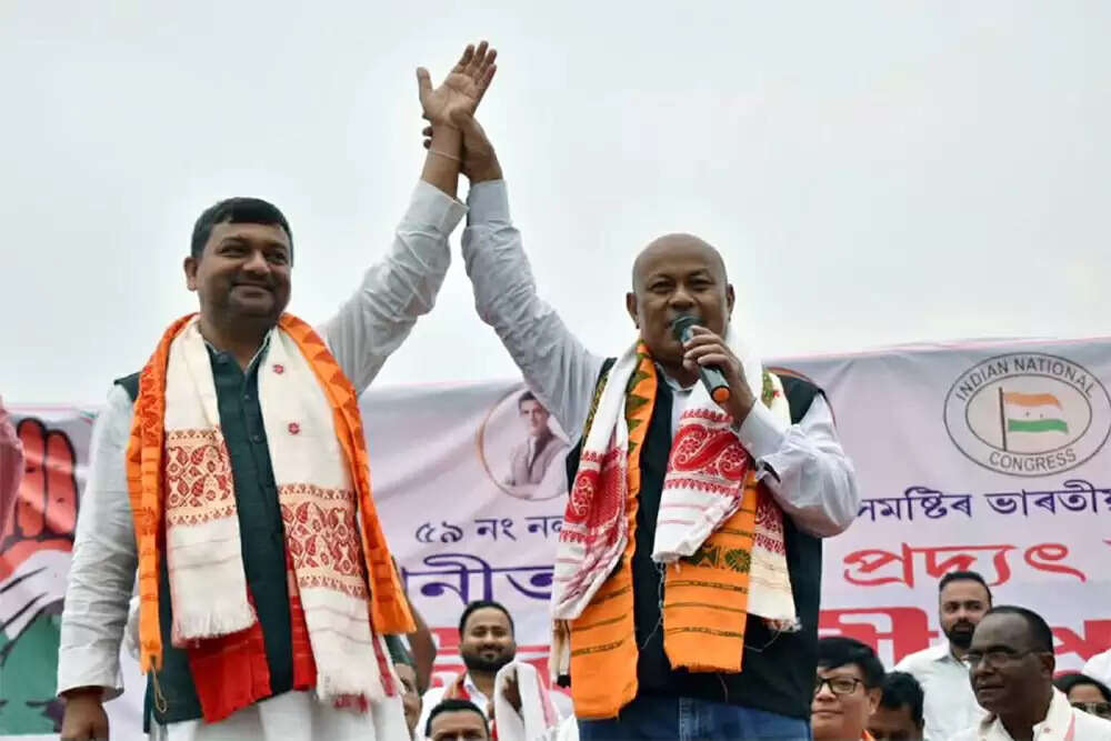 असम विधानसभा चुनाव से पहले भाजपा को बड़ा झटका, बीपीएफ ने किया शानदार प्रदर्शन