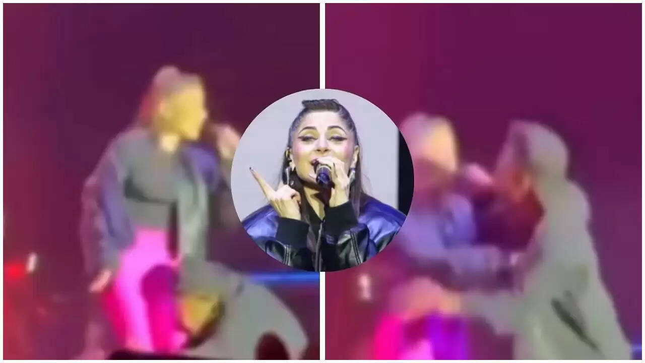 कनिका कपूर की परफॉर्मेंस के दौरान सुरक्षा में चूक, युवक ने किया स्टेज पर कूदने का प्रयास