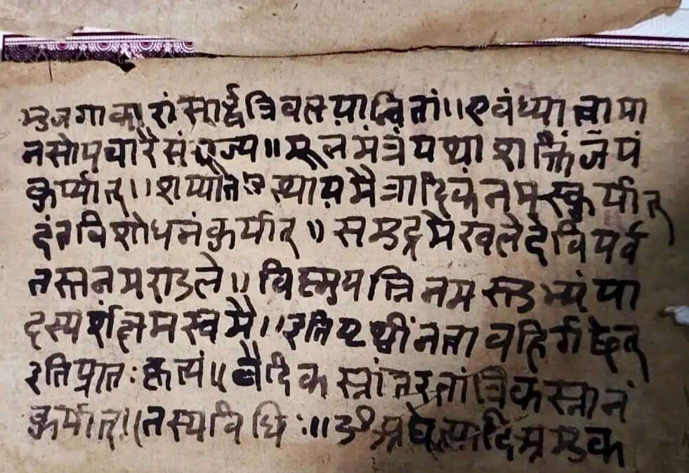 कबीरधाम में मिला इतिहास का अनमोल खजाना, 375 वर्ष पुरानी तालपत्र पांडुलिपि सहित 38 दुर्लभ दस्तावेज चिन्हित