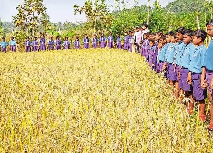 कोंडागांव: पढ़ाई के साथ खेती-बाड़ी सिखाने वाला कोंडागांव के पीकड़भाटा गांव का अनोखा स्कूल