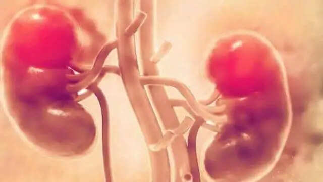 किडनी स्वास्थ्य के लिए फायदेमंद पेय: जानें कैसे रखें अपनी किडनी को साफ और स्वस्थ