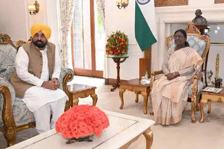 सीएम मान ने सात सांसदों के खिलाफ कार्रवाई की मांग की