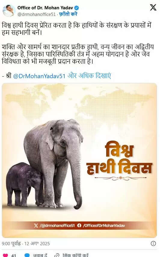 विश्व हाथी दिवस: संरक्षण के लिए अपील