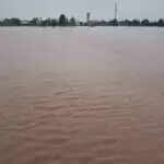 कुरुक्षेत्र में मारकंडा नदी का तटबंध टूटने से फसलें जलमग्न