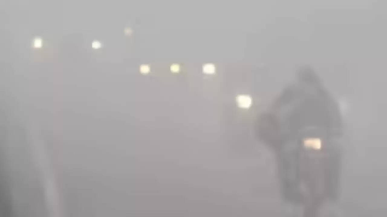 उत्तर भारत में ठंड और कोहरे का कहर: मौसम अपडेट