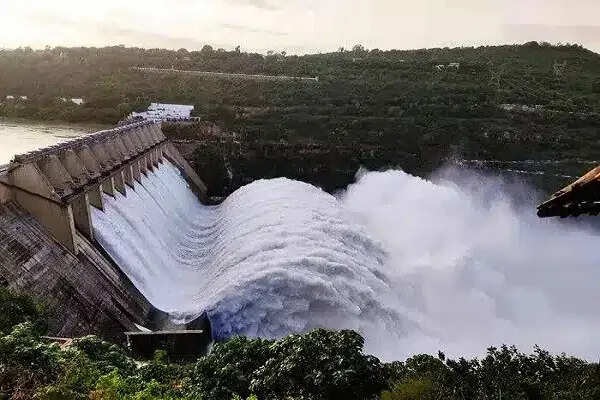पोंग डैम में पानी का स्तर 7 फुट बढ़ा, प्रशासन सतर्क