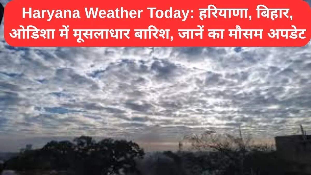 हरियाणा में मौसम का हाल: बारिश का अलर्ट जारी