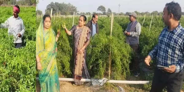 नवाचार खेती से मुकेश चौधरी&nbsp;बने सफल कृषि उद्यमी, कर रहे लाखों की आमदनी