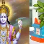 पापांकुशा एकादशी: तुलसी पूजा के नियम और महत्व
