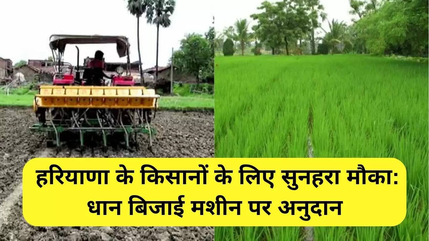 हरियाणा के किसानों के लिए धान बिजाई मशीन पर अनुदान: सुनहरा अवसर