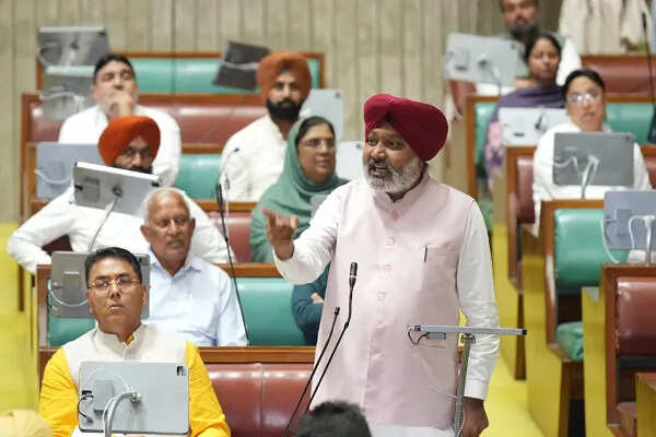 पंजाब के वित्त मंत्री ने बाढ़ राहत में केंद्र सरकार की आलोचना की