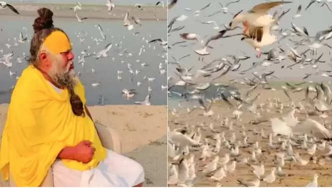 संत प्रेमानंद महाराज का वायरल वीडियो: यमुना के किनारे का अद्भुत दृश्य