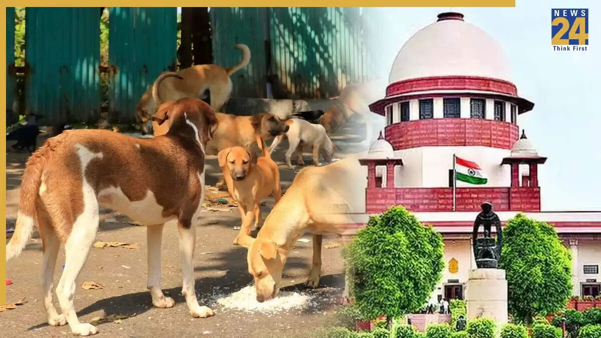 सुप्रीम कोर्ट का आदेश: दिल्ली में आवारा कुत्तों की नसबंदी और टीकाकरण