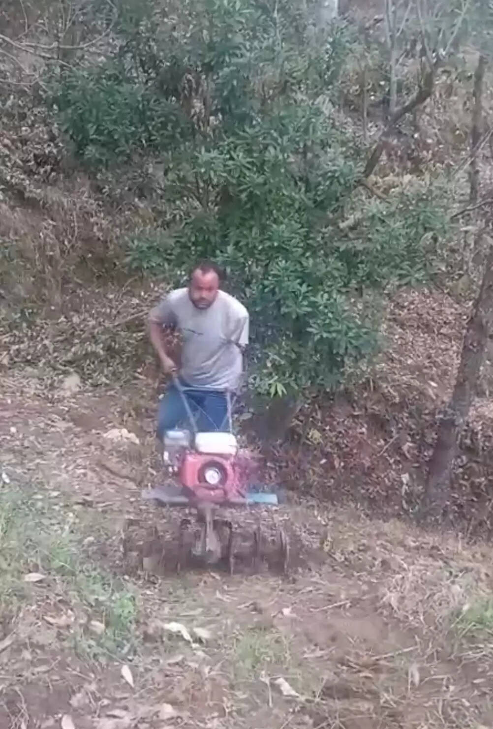 एक हाथ से रची आत्मनिर्भरता की नई कहानी, पूरन सिंह बने ग्रामीण विकास के प्रतीक