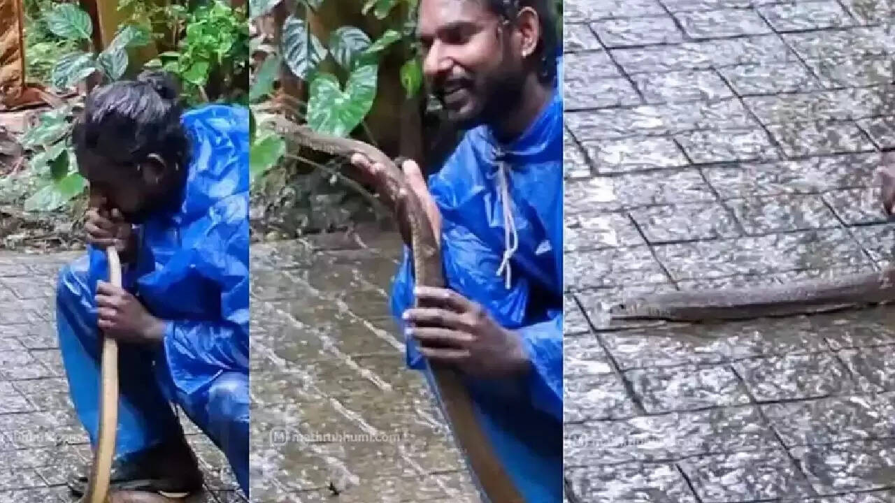 केरल के वन्यजीव रक्षक ने सांप को बचाने में किया अद्भुत कार्य