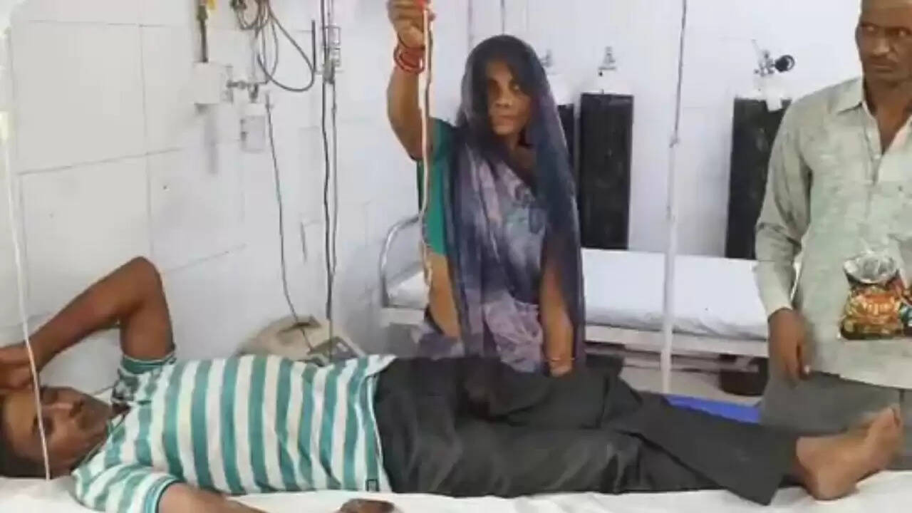 उत्तर प्रदेश में सांप के काटने की अनोखी घटना: महिला ने पति के साथ मरा हुआ सांप भी लाया अस्पताल