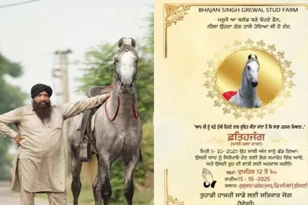 लुधियाना में घोड़े के प्रति मालिक का अनोखा प्रेम: भोग समागम का आयोजन