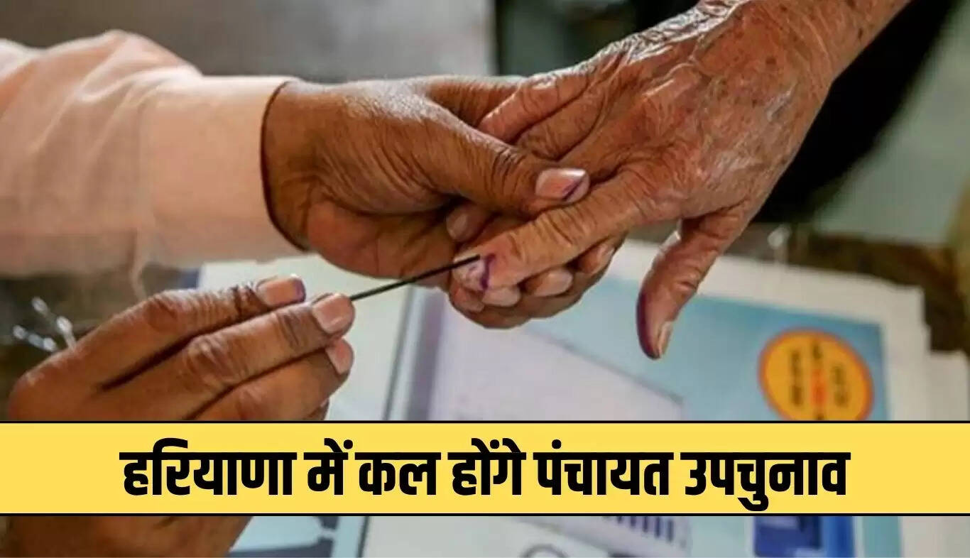 हरियाणा में पंचायत चुनाव की तारीख घोषित, उपचुनाव भी होंगे