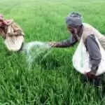 हरियाणा में केवल पंजीकृत किसानों को मिलेगा खाद