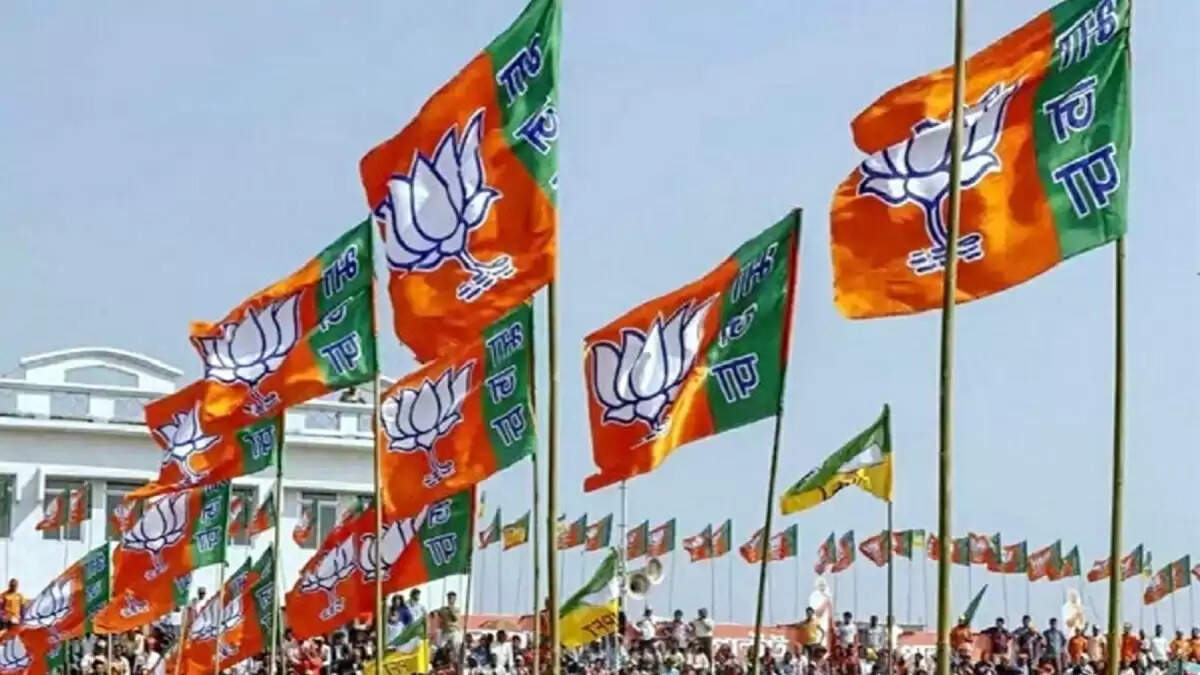 भाजपा के नए राष्ट्रीय अध्यक्ष के चुनाव की प्रक्रिया जल्द शुरू होगी