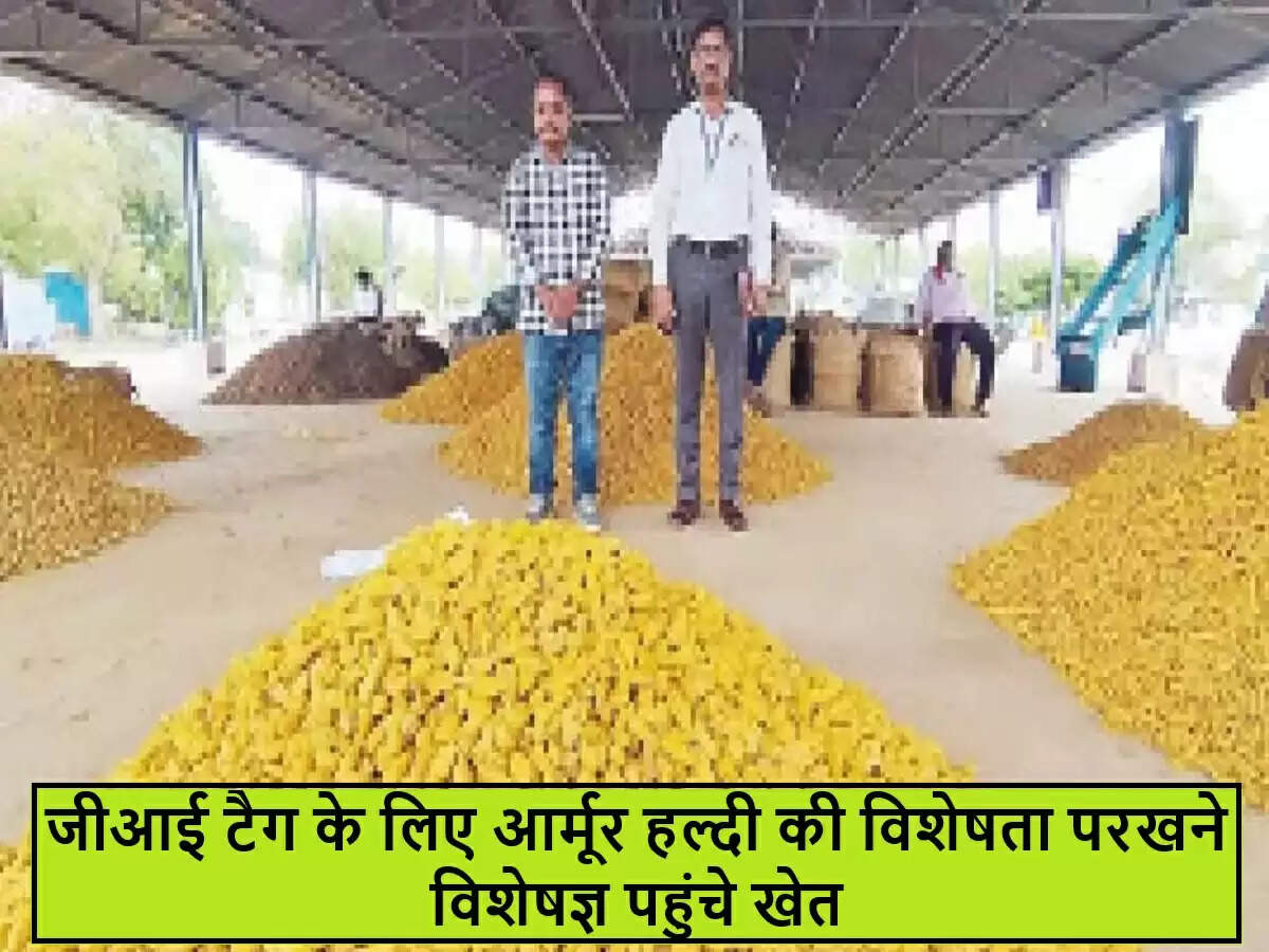 आर्मूर हल्दी को जीआई टैग दिलाने की प्रक्रिया में तेजी