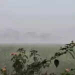 हरियाणा में 9 दिसंबर से बफीर्ली हवाओं का अलर्ट