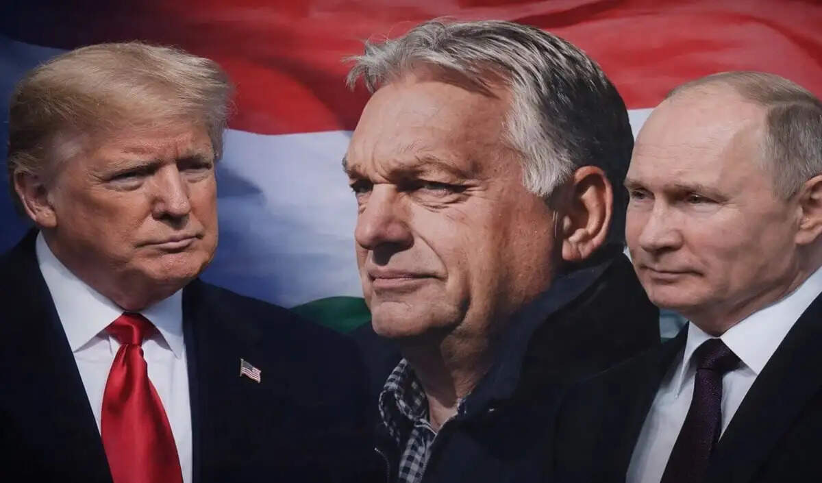 हंगरी में विक्टर ऑर्बन का 16 साल का शासन समाप्त, पीटर माग्यार ने जीती चुनावी लड़ाई